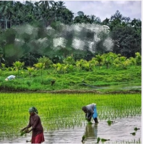 বটিয়াঘাটায় বিএনপি নেতার বিরুদ্ধে জমি দখলের অভিযোগ