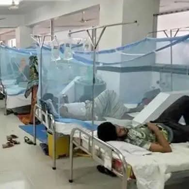 ডেঙ্গুতে আরও ৫ জনের মৃত্যু, হাসপাতালে ভর্তি ৬৩৬