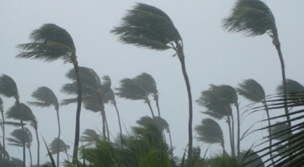 ১২ জেলায় ঝড়ের আভাস