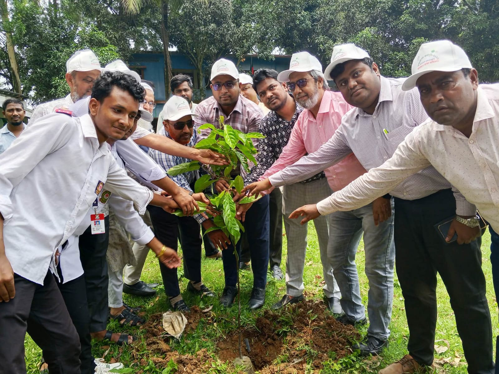 ধামইরহাটে জাকস ফাউন্ডেশনের বৃক্ষরোপন কর্মসূচি উদ্বোধন