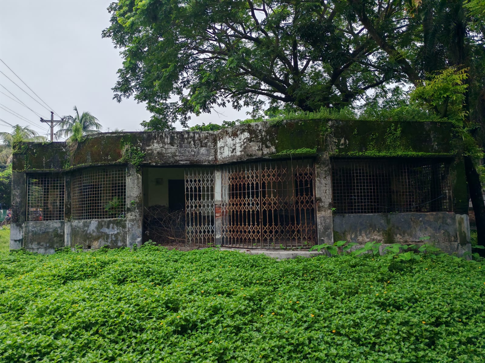 ডুমুরিয়ায় থানার পাশে ভূতুড়ে বাড়ি, পরিত্যক্ত ডাকবাংলো সংস্কারের অভাবে ধ্বংসের মুখে