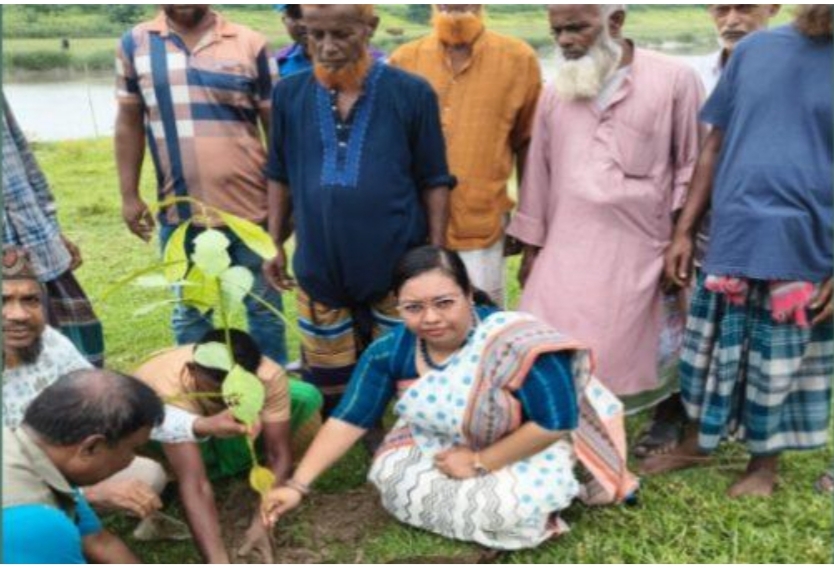 তেরখাদায় ১৫ হাজার গাছের চারা রোপণ কর্মসূচির উদ্বোধন, পরিবেশ রক্ষায় ইউএনও নীলার আহ্বান