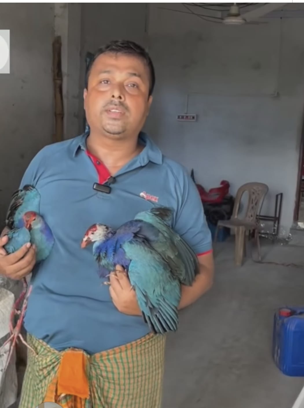 বিলুপ্তপ্রায় কালিম পাখি পোষ মানিয়ে সফল ডুমুরিয়ার চুকনগরের মৎস্য ব্যবসায়ী