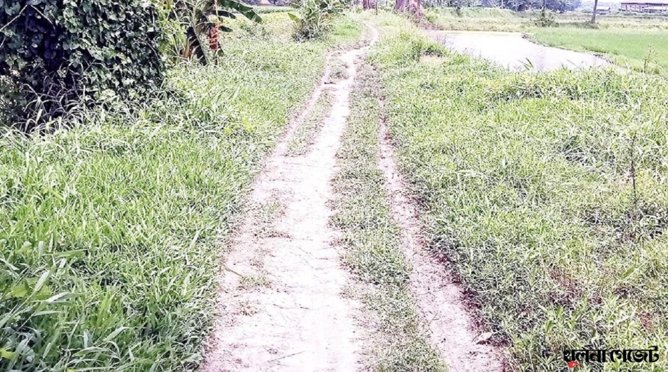 ৪৬ বছরেও উন্নয়নের ছোঁয়া লাগেনি ডুমুরিয়ার কেয়ার রাস্তায়!