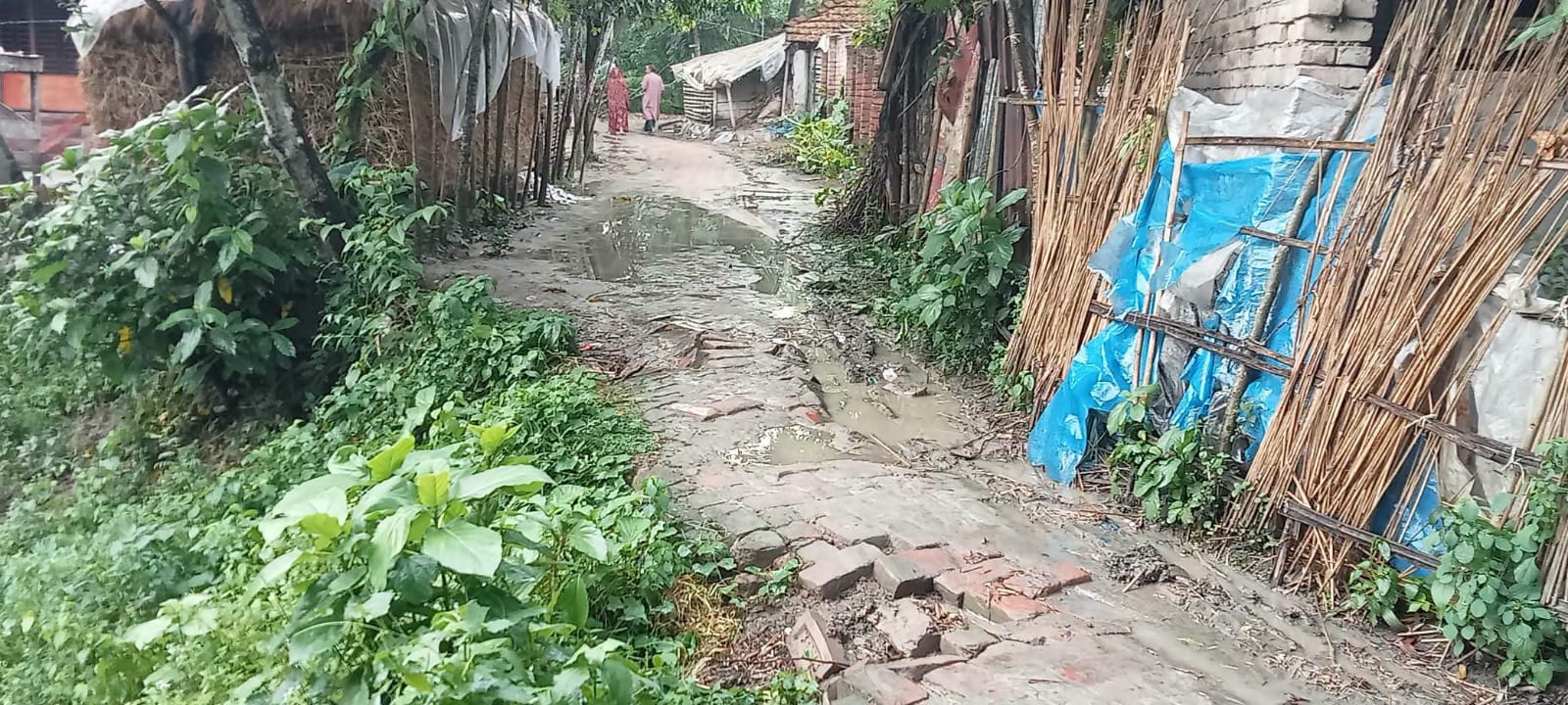বাগদহা গ্রামে সবচেয়ে পুরনো রাস্তার বেহাল অবস্থাঃ দেখার কেউ নেই 