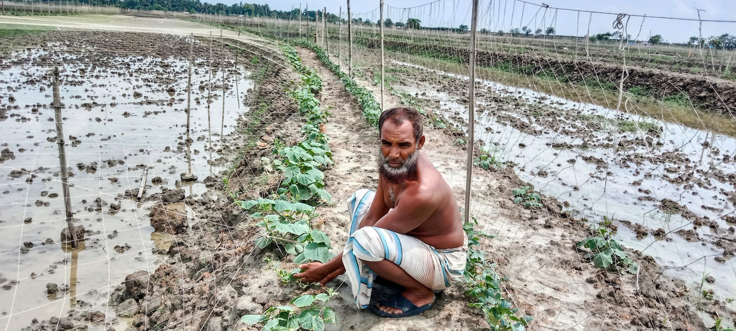 ডুমুরিয়ার কৃষকরা মীম আস্থা গ্রীষ্মকালীন তরমুজ চাষ করে লাভবান 