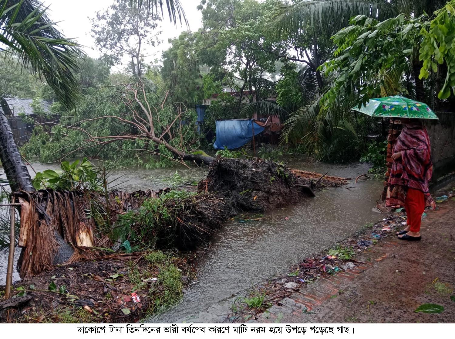 দাকোপে ৩ দিনের ভারী বৃষ্টিতে বিপর্যস্ত জনজীবন।