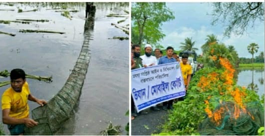 কেশবপুরে বিশেষ অভিযানে বিপুল পরিমাণ অবৈধ চায়না দুয়ারী জাল ধ্বংস করা হয়েছে