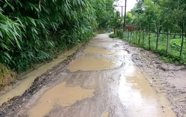 ঈদগাঁও-মাছুয়াখালী প্রধান যাতাযাতের সড়কটি খানাখন্দকে ভরপুর, দেখার কেউ নেই 