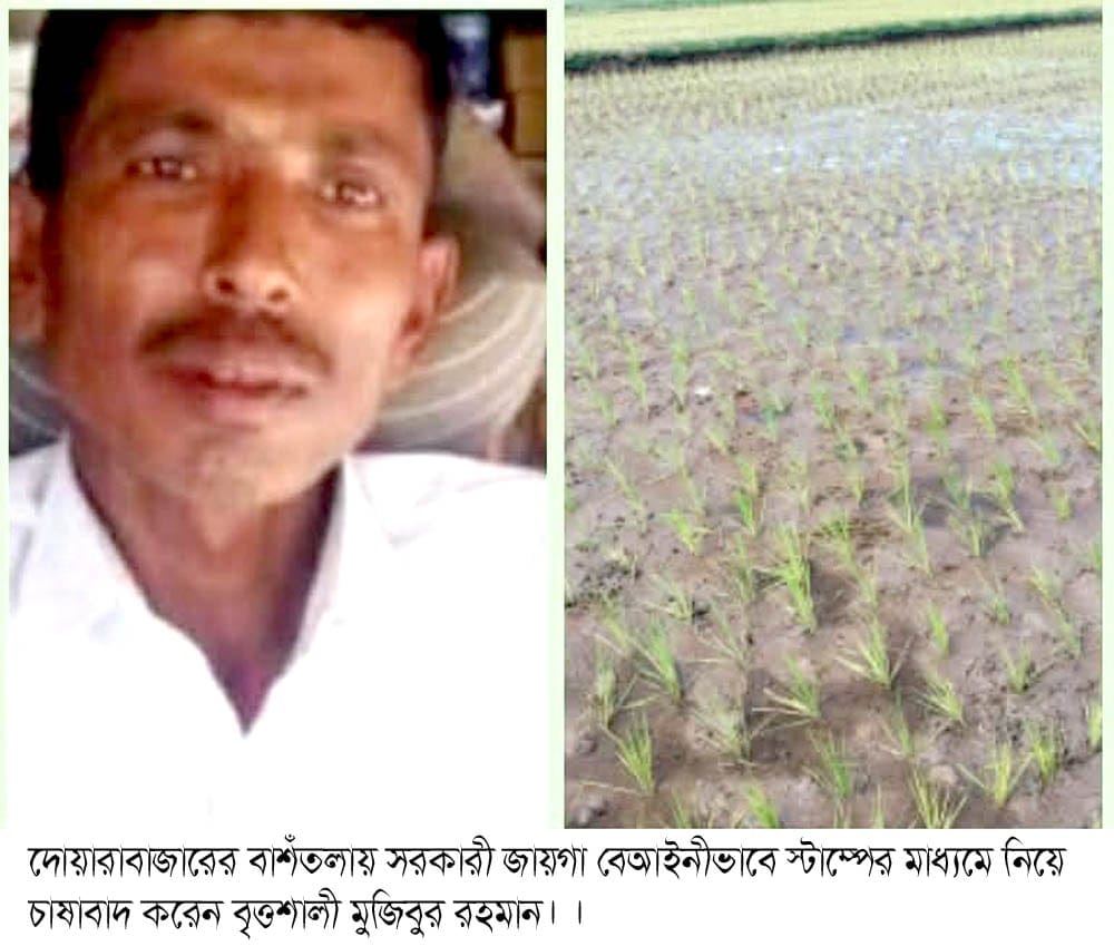 দোয়ারাবাজারে এক ভূমিহীনের দখলে থাকা সরকারী জায়গা প্রভাবশালীচক্র স্টাম্পের মাধ্যমে জোরপূর্বক দখল 
