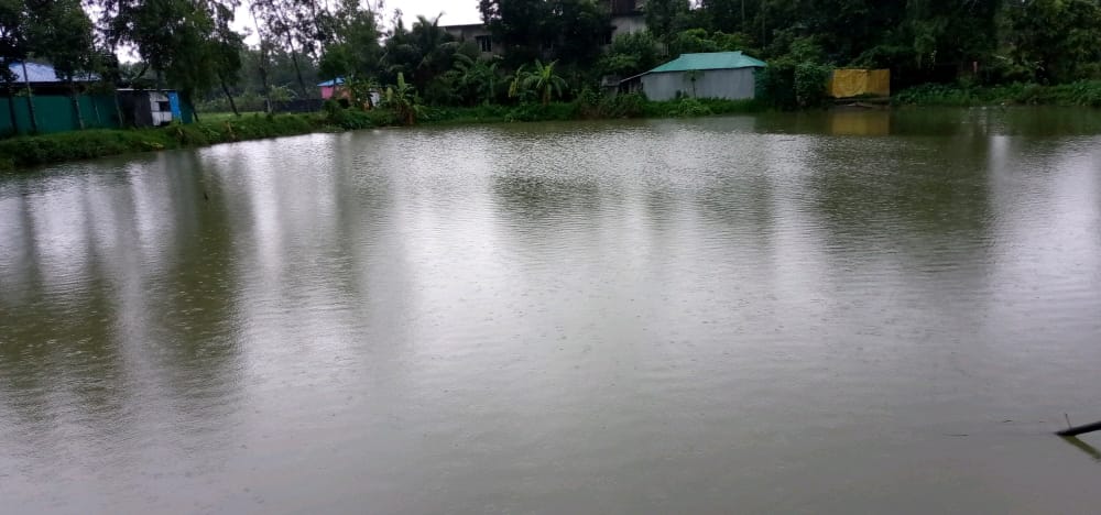 কালের বিবর্তনে ঈদগাঁওর গ্রামীন জনপদে  বিলুপ্তি পুকুর ও জলাশয়, সংরক্ষণ দাবী 