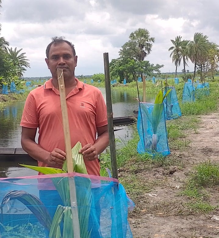 বিল ডাকাতিয়ার নিমতলা খালের দুই পাড়ে ৫০০শত নারিকেলের চারা রোপন করে প্রশংসায় ভাসছেন চেয়ারম্যান মনোজিৎ বালা