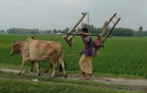 ঈদগাঁওর গ্রামীন জনপদ থেকে বিলুপ্তি লাঙ্গল,জোয়াল ও মই’র হালচাষ