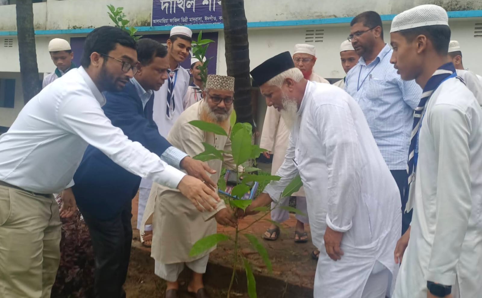 মাদ্রাসা শিক্ষার মানোন্নয়নে ঈদগাঁও আলমাছিয়ায় আলোচনা ও বৃক্ষরোপণ কর্মসূচি 