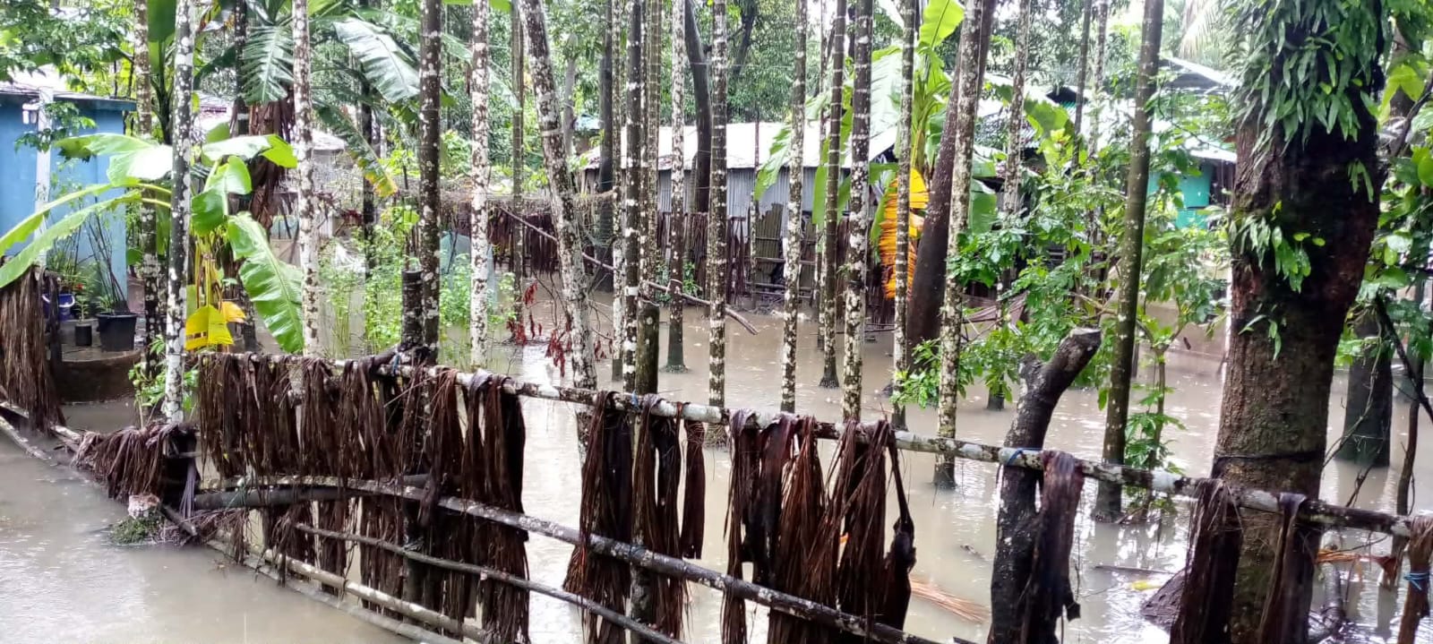 টানা বৃষ্টিপাতে ঈদগাঁওর নিন্মাঞ্চল প্লাবিত, জনদূর্ভােগ চরমে