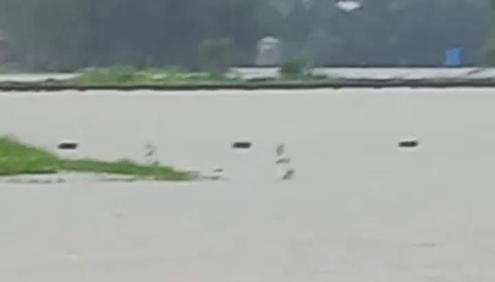 ঈদগাঁওতে পিছিয়ে যাচ্ছে আমন চাষ 