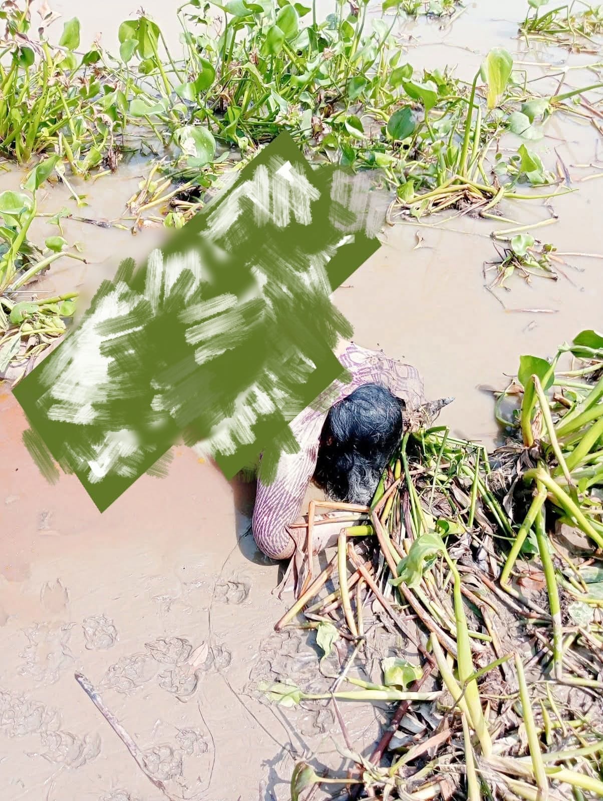 খুলনা জেলা বটিয়াঘাটায় কাজীবাছা নদীর চর থেকে অজ্ঞাত নারীর মরদেহ উদ্ধার