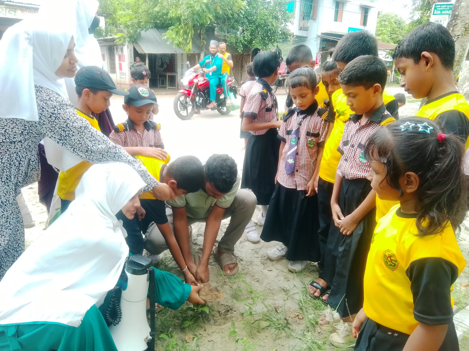 বজ্রপাত রোধে তালবীজের অভিযান, ডুমুরিয়ায় ৪কিলোমিটার জুড়ে সবুজের স্বপ্ন তালবীজ রোপণ, সবুজায়নের নতুন উদ্যোগ