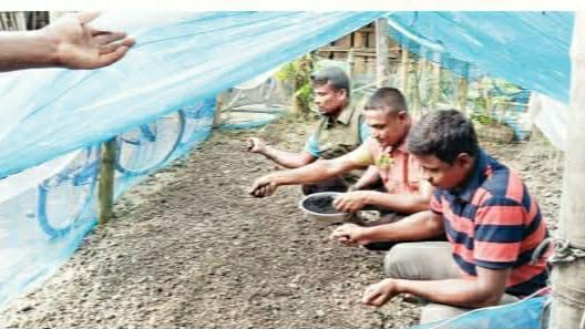 সাগরদাঁড়ীতে এক আনসার কমান্ডার তৈরি করছেন জৈব সার, কীটনাশক ও ছত্রাকনাশক