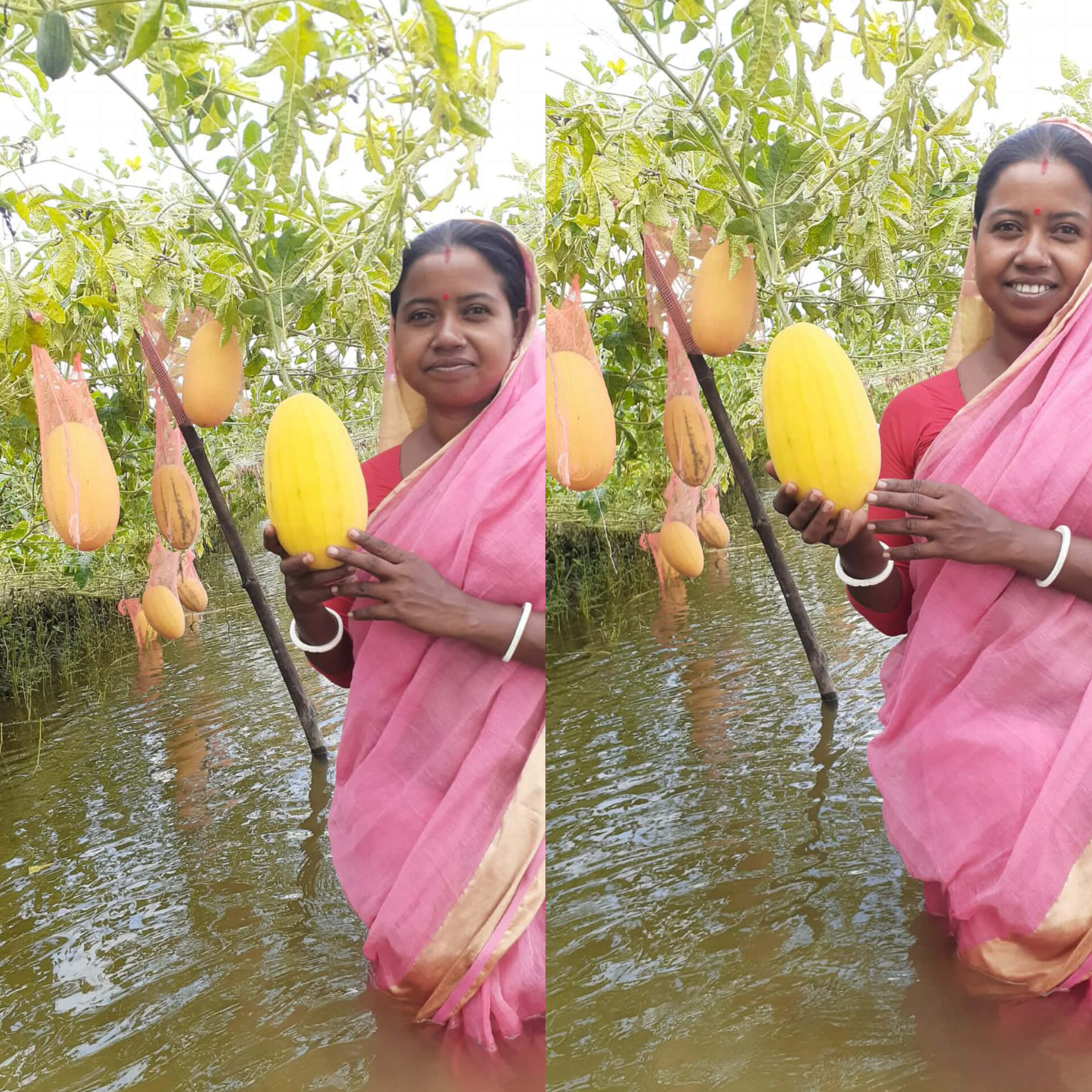 ডুমুরিয়ায় রঙিন তরমুজ চাষে চমক: স্বাবলম্বী কৃষাণি মিতালী মণ্ডল