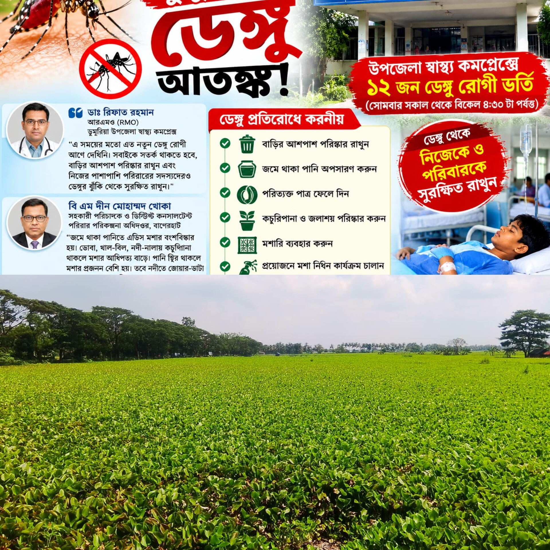 ডুমুরিয়ায় শহর ছাড়িয়ে গ্রামেও ডেঙ্গুর থাবা! কচুরিপানা-জলাবদ্ধতায় উদ্বেগ, উপজেলা স্বাস্থ্য কমপ্লেক্সে ১২ রোগী ভর্তি