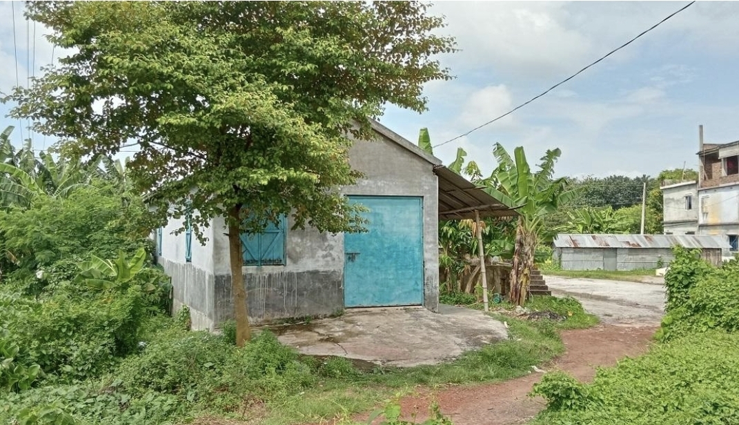 নজরদারির বাইরে ডুমুরিয়া: জরিমানাতেও থামছে না চিংড়িতে অপদ্রব্য পুশ