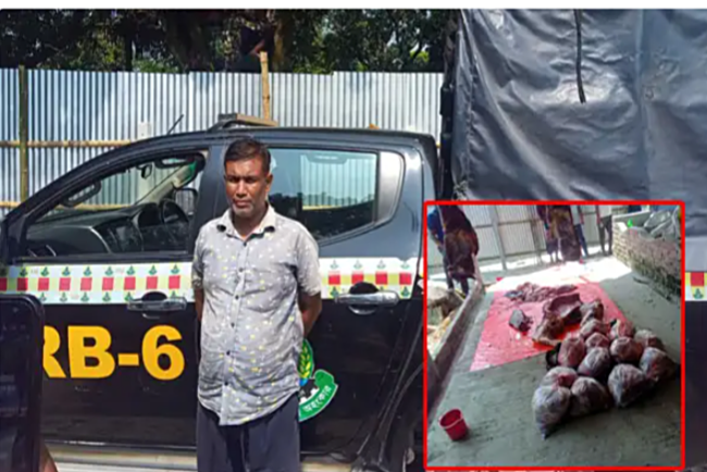 ডুমুরিয়ায় কাঞ্চনপুরে ঘোড়ার মাংস বিক্রেতা পলাশের ৩ মাসের কারাদন্ড